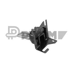 P755929 PLYOM