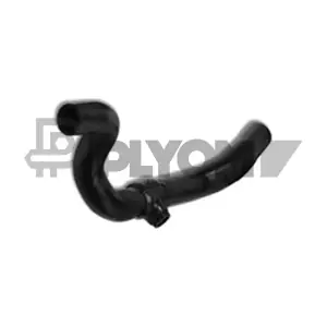 P026643 PLYOM