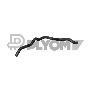 P031325 PLYOM
