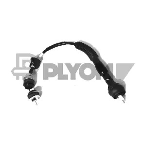 P765847 PLYOM
