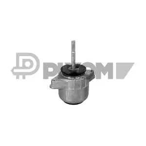 P776535 PLYOM