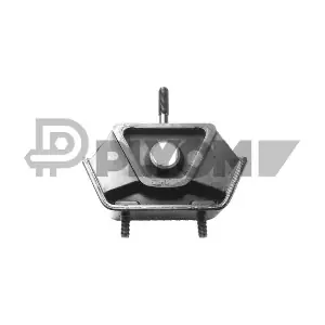 P753623 PLYOM