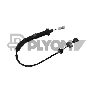 PLYOM P038216