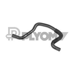 P031331 PLYOM