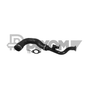 P752999 PLYOM