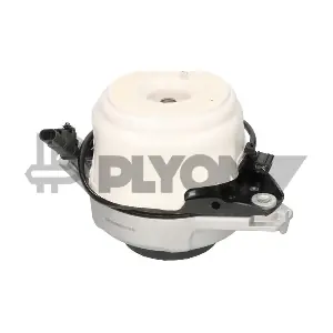 P753569 PLYOM