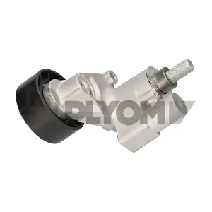 P030946 PLYOM