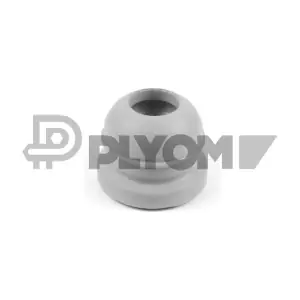 P750593 PLYOM