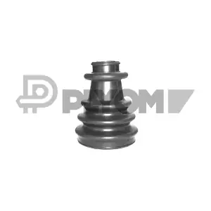 P020256 PLYOM
