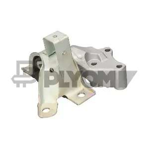 P011099 PLYOM