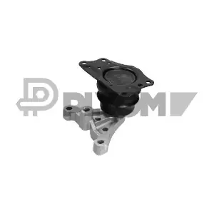 P461219 PLYOM