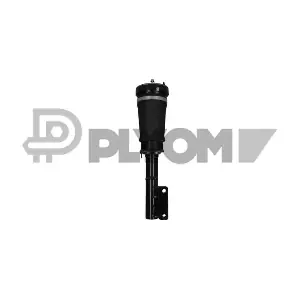P751959 PLYOM