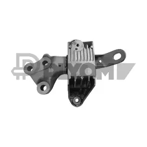 P756297 PLYOM