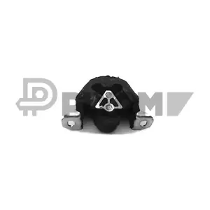 P480319 PLYOM