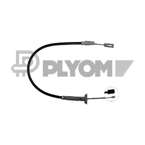 P762905 PLYOM