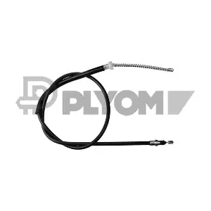 P038209 PLYOM