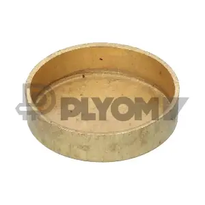 P950116 PLYOM
