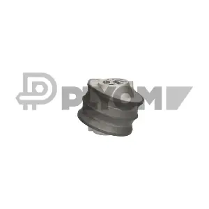 P776152 PLYOM