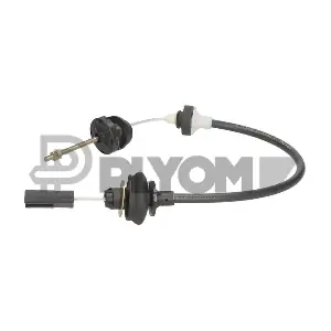 P760161 PLYOM