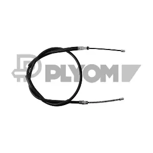 P760081 PLYOM