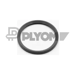 P773503 PLYOM