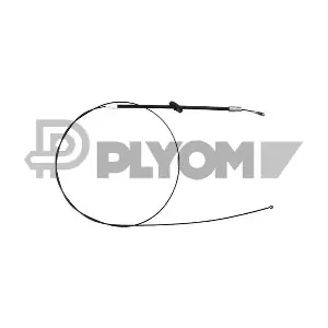 P188005 PLYOM