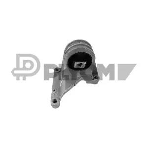 P759248 PLYOM