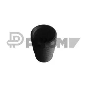 P180981 PLYOM