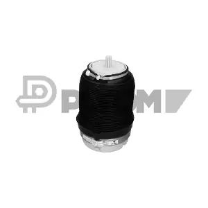 P753278 PLYOM