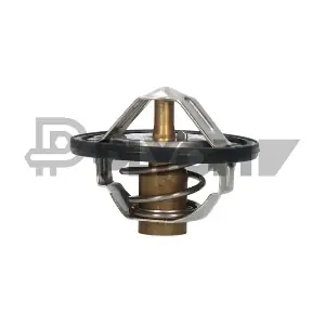 PLYOM P756887