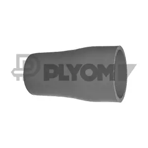 PLYOM P766965
