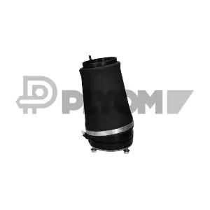 P752995 PLYOM
