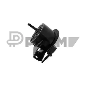 P756397 PLYOM