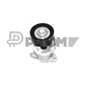 P770076 PLYOM