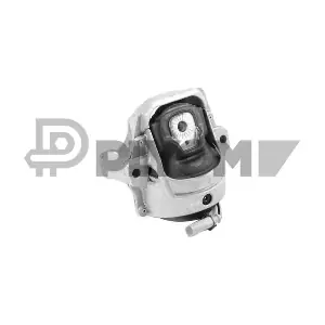 P769803 PLYOM