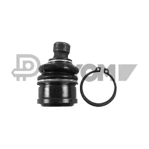 PLYOM P755056