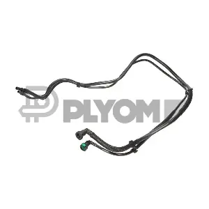 P777597 PLYOM