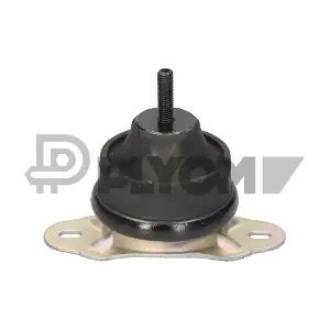 P031496 PLYOM