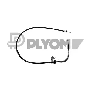 P761807 PLYOM