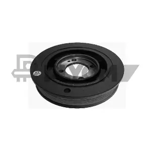 P480910 PLYOM
