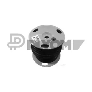 P014025 PLYOM