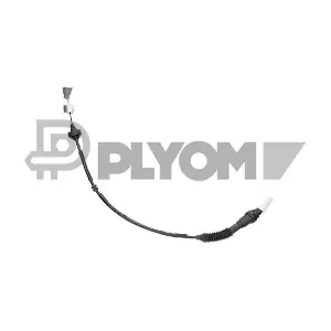 P038450 PLYOM