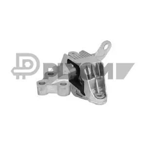 P756298 PLYOM