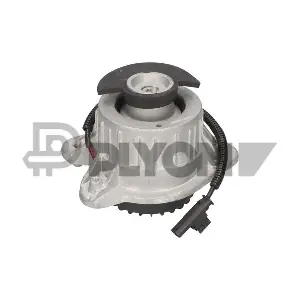 P777629 PLYOM