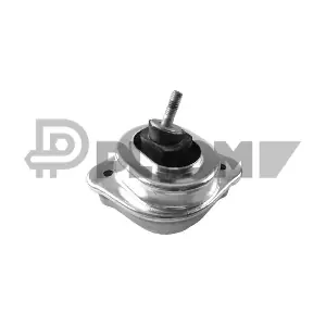 P756163 PLYOM
