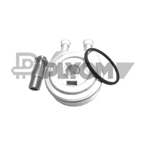 P021382 PLYOM