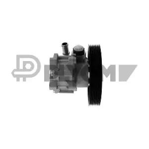 P773781 PLYOM