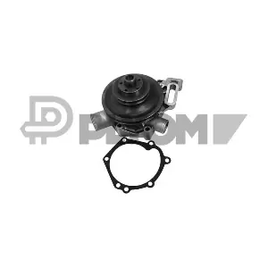 P768752 PLYOM