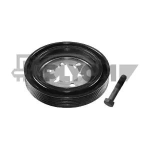 P752338 PLYOM