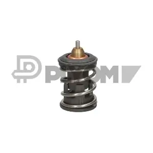 P774572 PLYOM